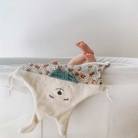 Doudou Juste Inséparables