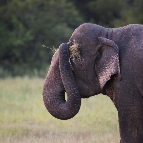 Produit gratuit test